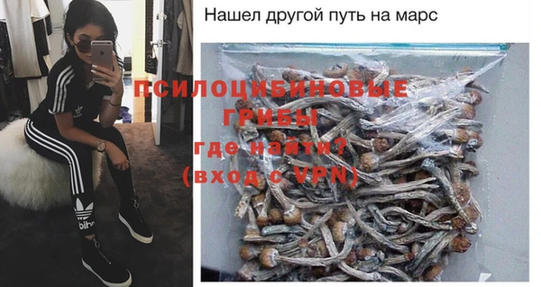 соль курить ск Медвежьегорск