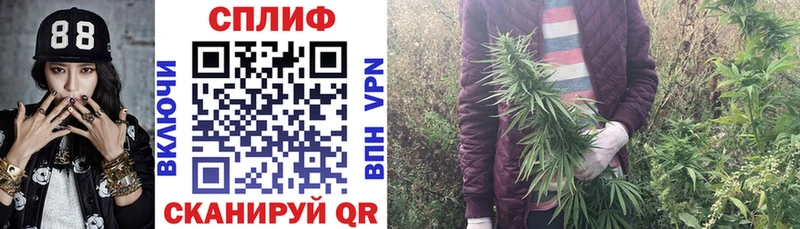 МАРИХУАНА Ganja  kraken рабочий сайт  Суровикино  купить наркотик 